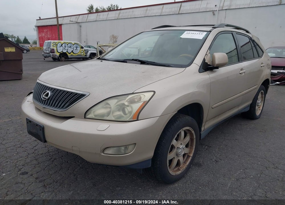 2006 LEXUS RX 330 VIN: JTJGA31U160064195