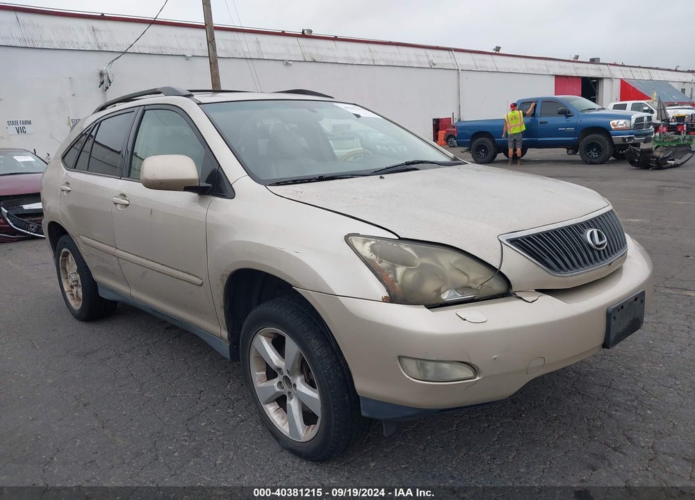 2006 LEXUS RX 330 VIN: JTJGA31U160064195