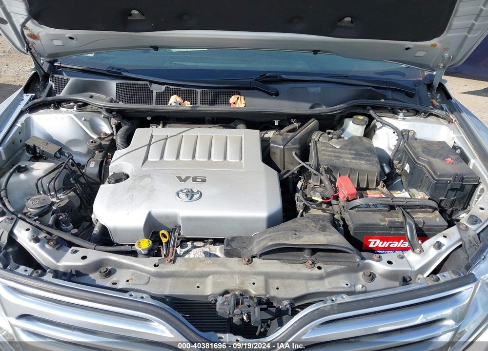 2009 TOYOTA VENZA VIN: 4T3ZK11A89U018351