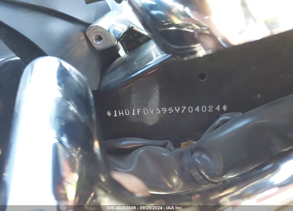 2005 HARLEY-DAVIDSON FLHR VIN: 1HD1FDV395Y704024