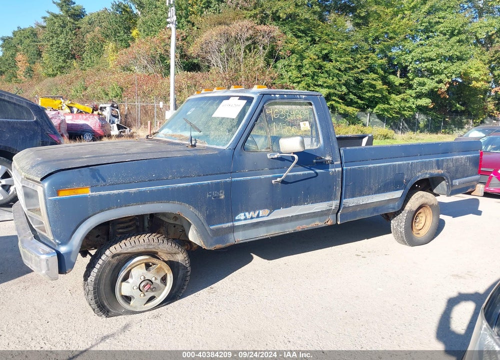 1986 FORD F150 VIN: 2FTEF14N1GCA66494