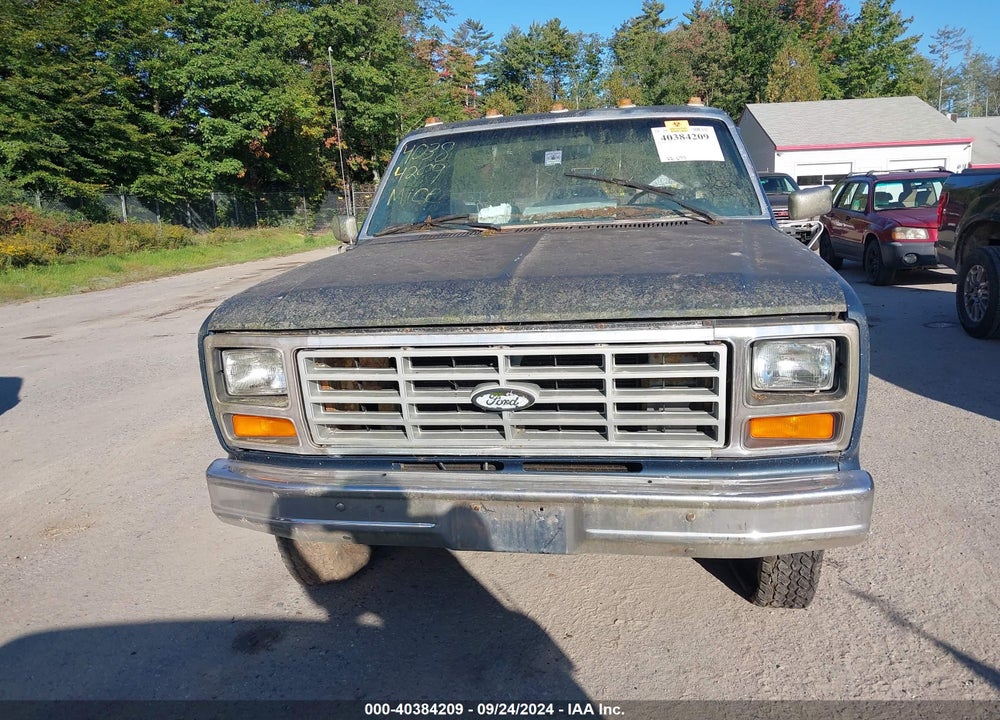 1986 FORD F150 VIN: 2FTEF14N1GCA66494