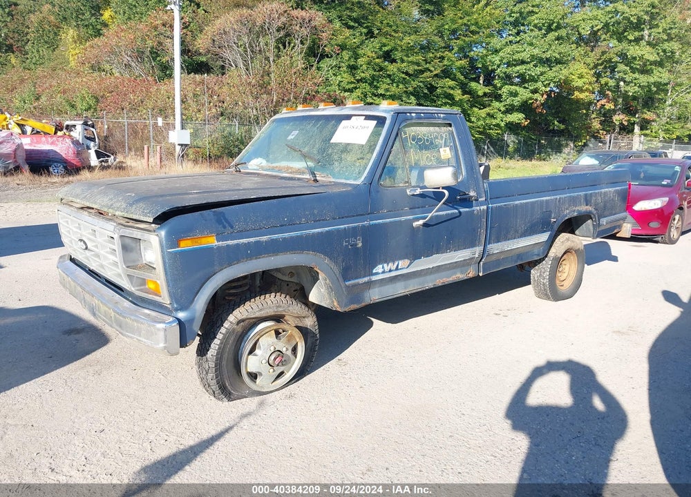 1986 FORD F150 VIN: 2FTEF14N1GCA66494