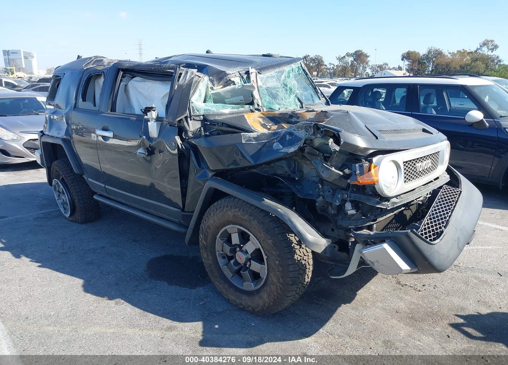 2007 TOYOTA FJ CRUISER VIN: JTEBU11F070059819