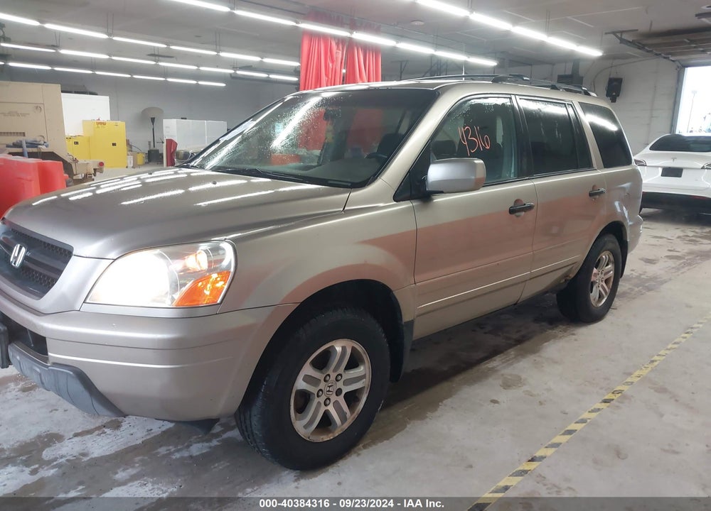 2005 HONDA PILOT EX-L VIN: 5FNYF18505B051238
