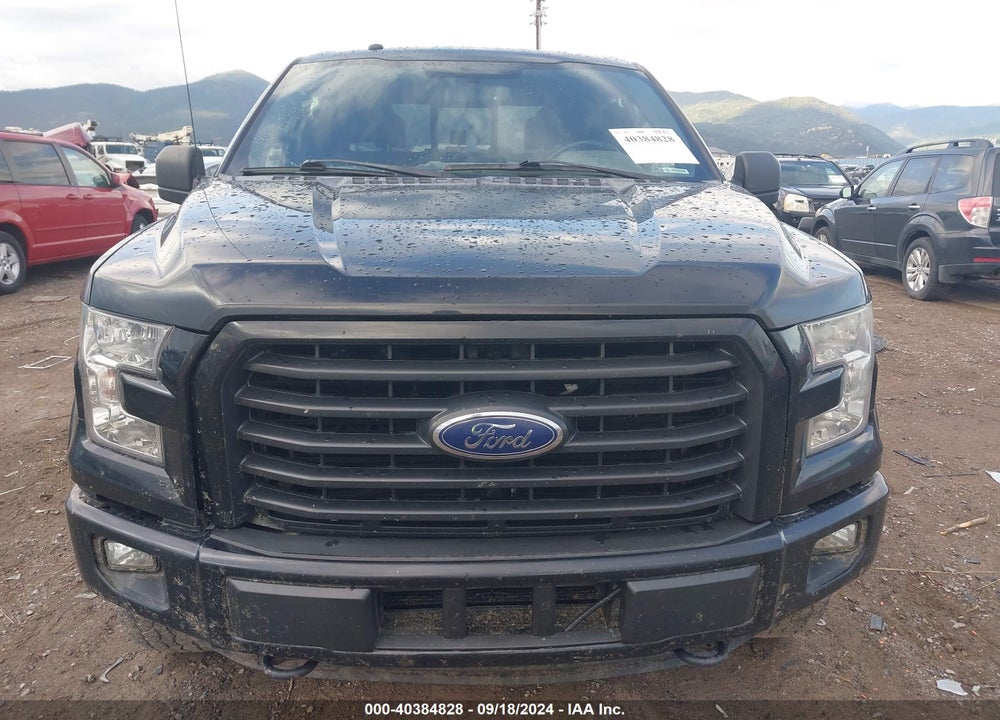 2016 FORD F-150 VIN: 1FTEW1EG3GFA03403