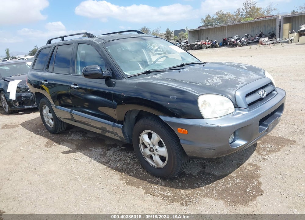 2005 HYUNDAI SANTA FE GLS/LX VIN: KM8SC13E75U889694