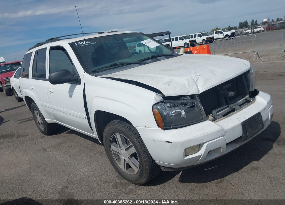 2006 CHEVROLET TRAILBLAZER VIN: 1GNDT13S862319520