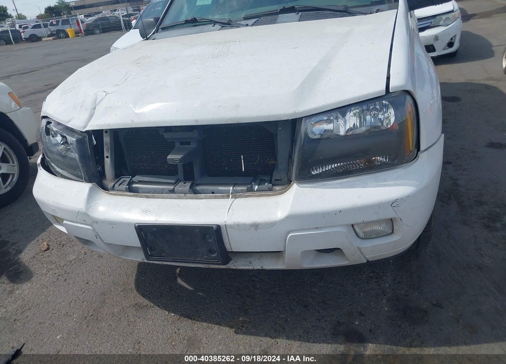 2006 CHEVROLET TRAILBLAZER VIN: 1GNDT13S862319520