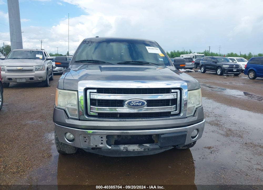 2014 FORD F-150 XLT VIN: 1FTFW1CF6EFA47181