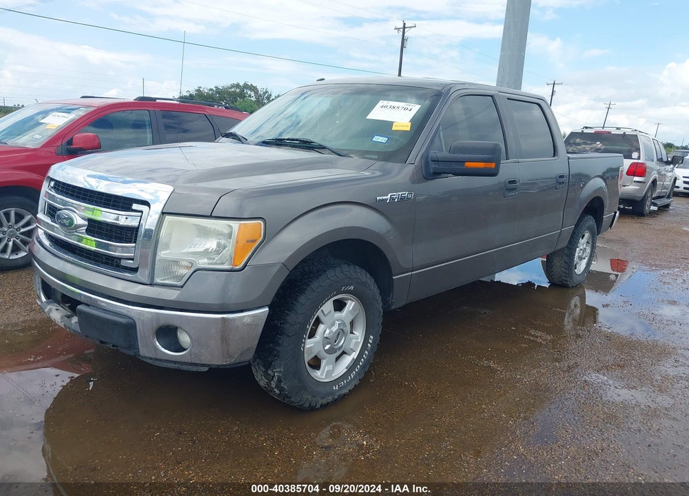 2014 FORD F-150 XLT VIN: 1FTFW1CF6EFA47181