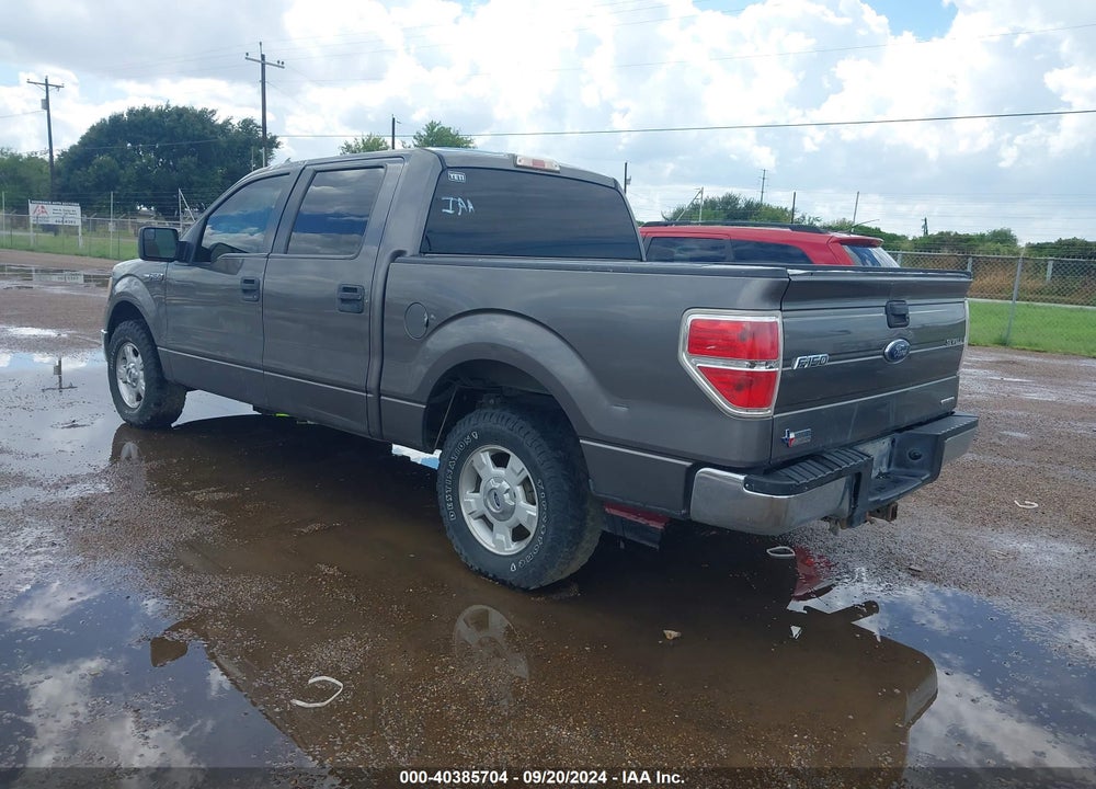 2014 FORD F-150 XLT VIN: 1FTFW1CF6EFA47181
