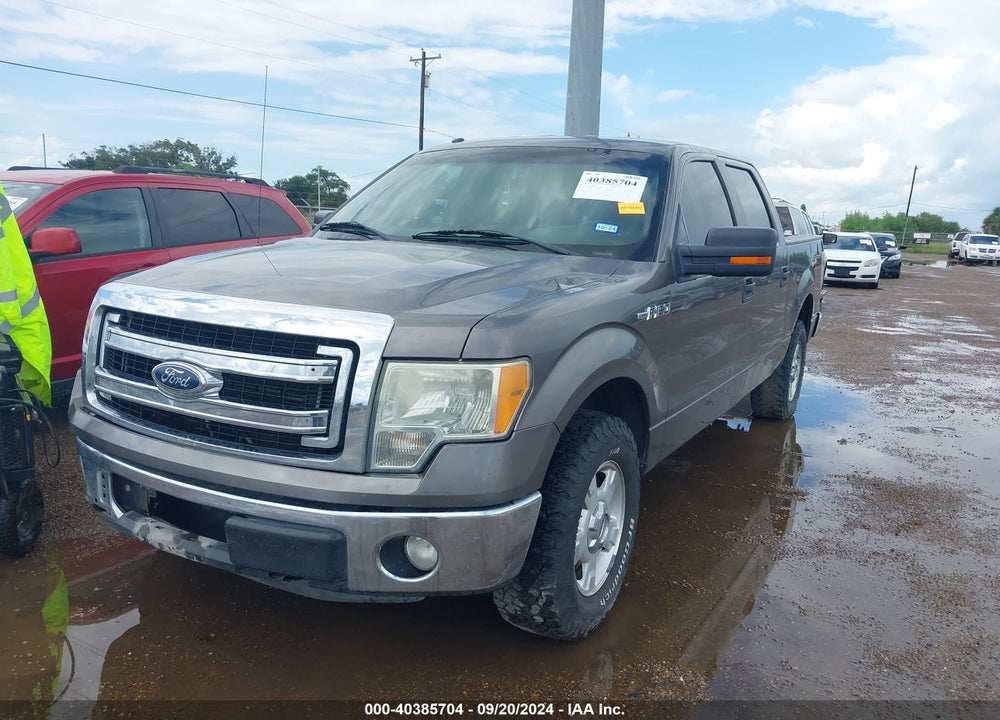 2014 FORD F-150 XLT VIN: 1FTFW1CF6EFA47181