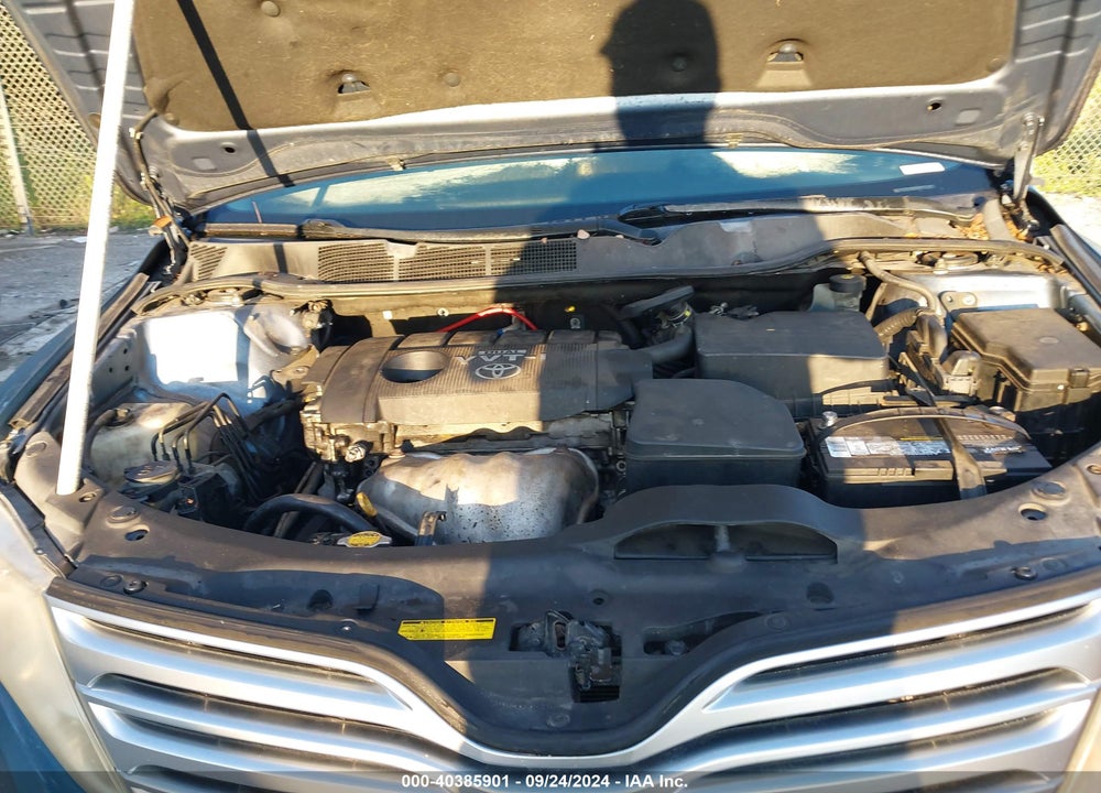 2009 TOYOTA VENZA VIN: 4T3ZE11AX9U010954