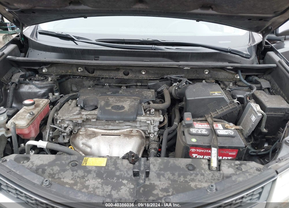 2014 TOYOTA RAV4 XLE VIN: JTMRFREV3EJ003846