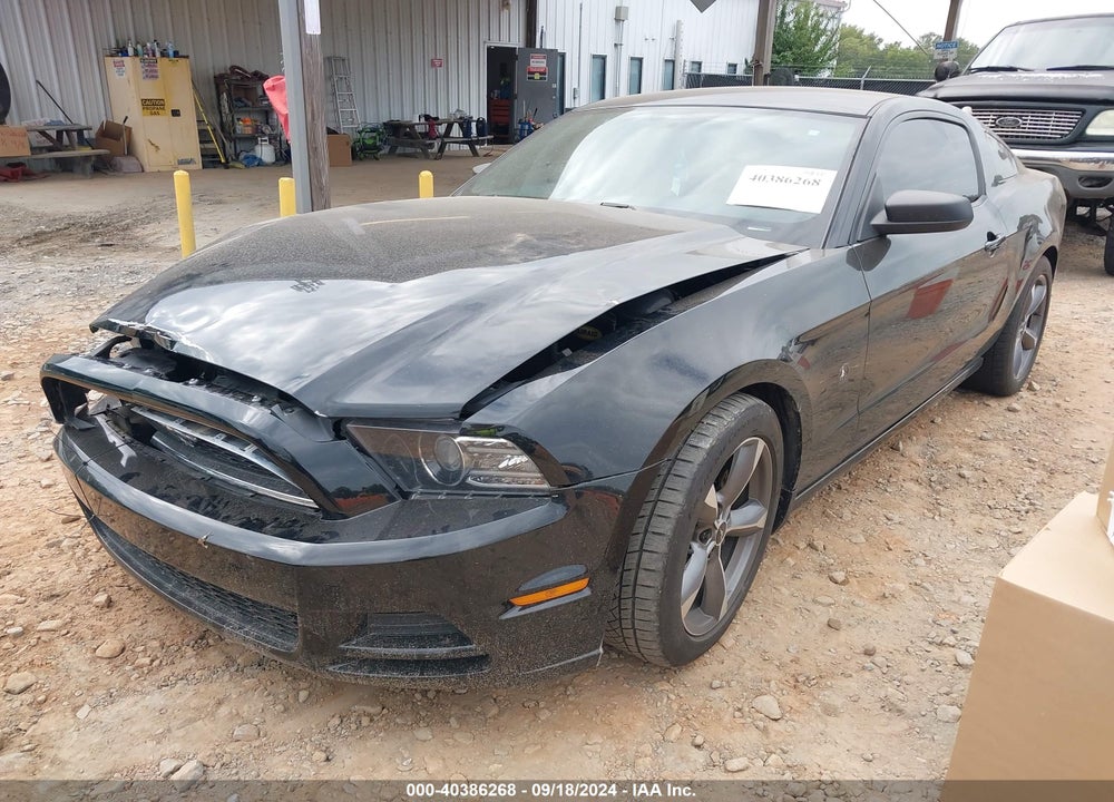 2014 FORD MUSTANG V6 VIN: 1ZVBP8AM7E5269351