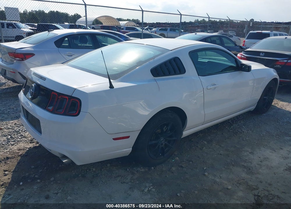 2014 FORD MUSTANG V6 VIN: 1ZVBP8AM5E5265430