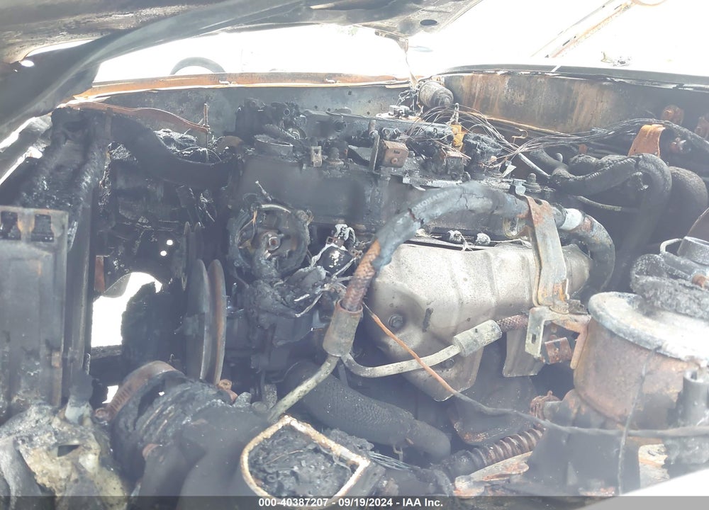 1994 TOYOTA PICKUP VIN: 4TARN01P2RZ307890