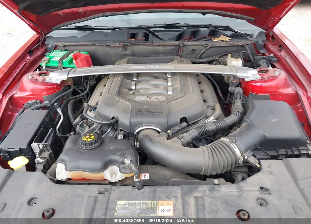 2013 FORD MUSTANG GT PREMIUM VIN: 1ZVBP8FF1D5244647