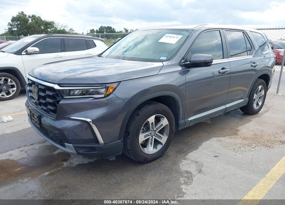 2024 HONDA PILOT 2WD EX-L 7 PASSENGER VIN: 5FNYG2H53RB010708