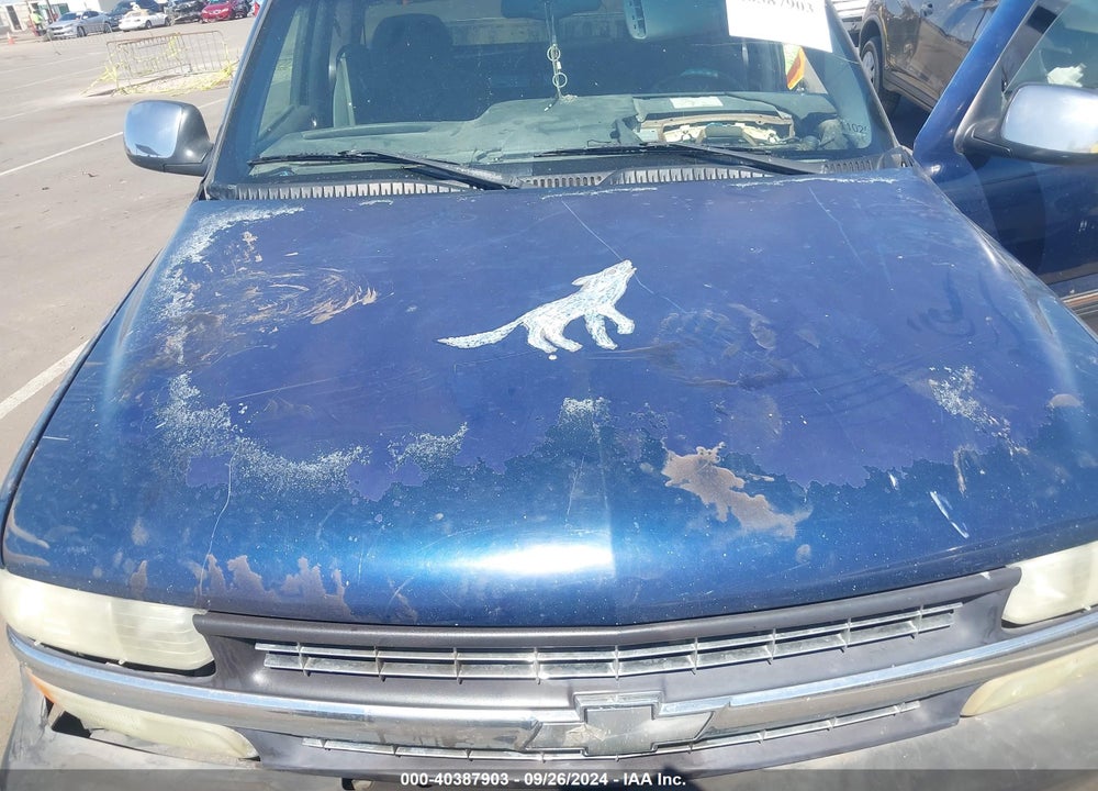 2002 CHEVROLET SILVERADO 1500 LS VIN: 2GCEC19V021197471