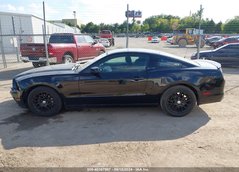 2014 FORD MUSTANG V6 VIN: 1ZVBP8AM4E5231205