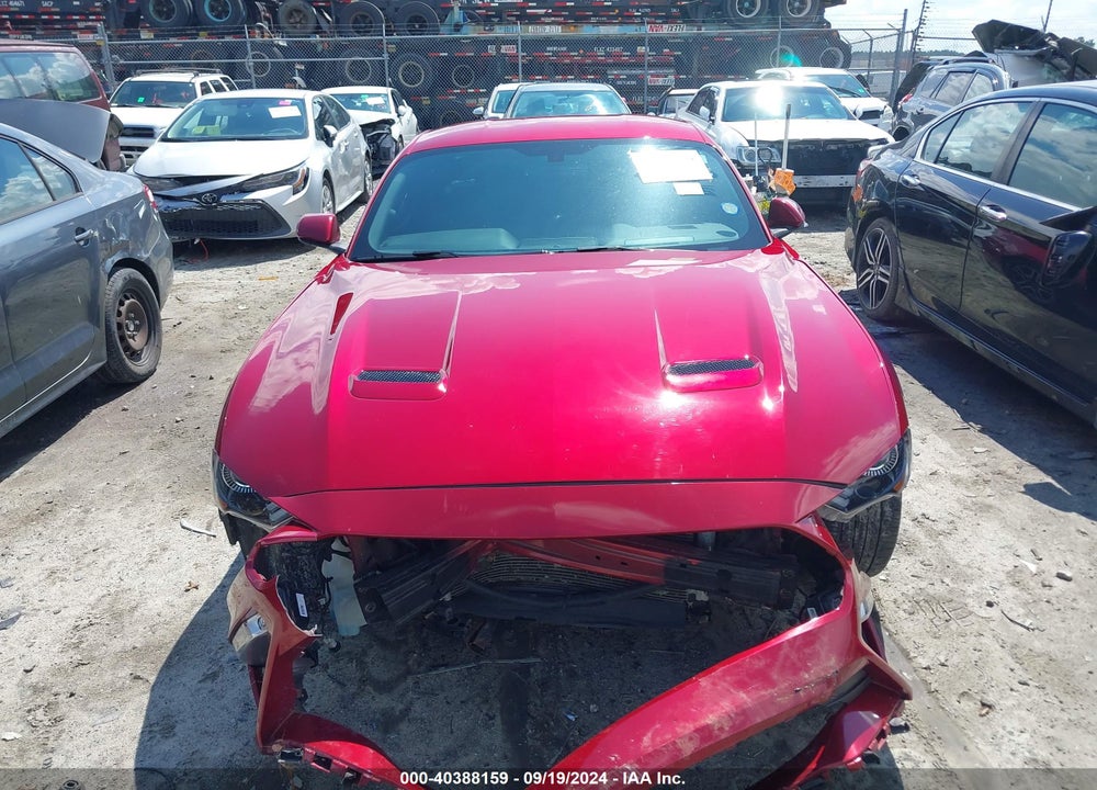 2019 FORD MUSTANG GT VIN: 1FA6P8CF1K5201051