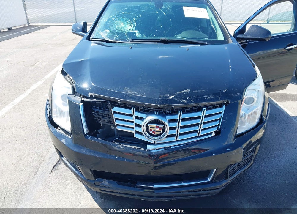 2013 CADILLAC SRX STANDARD VIN: 3GYFNAE39DS519349