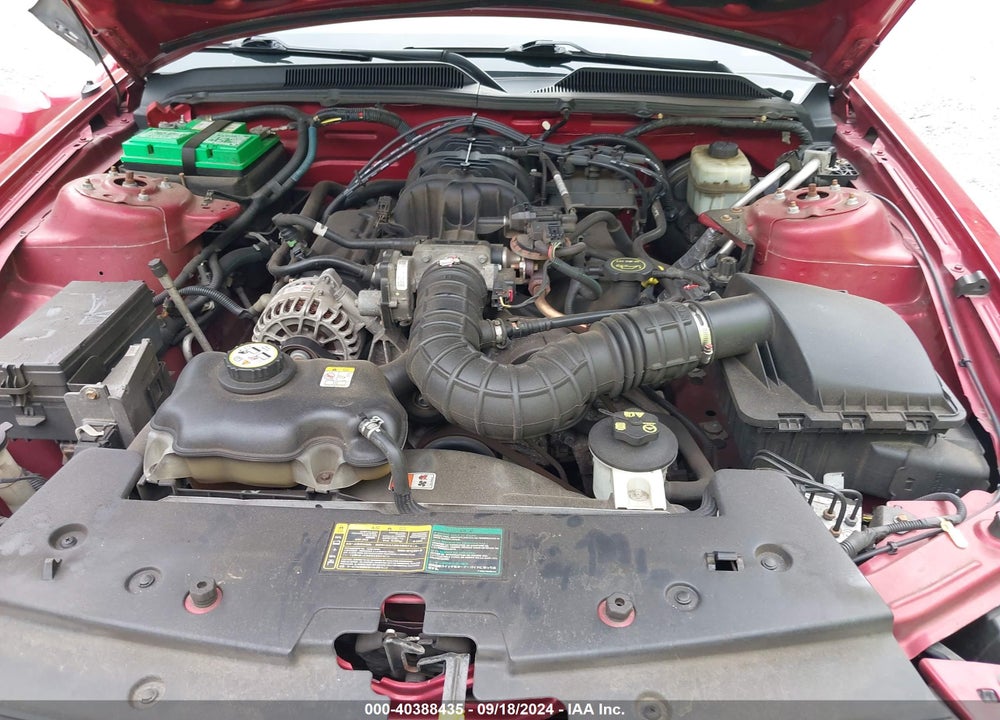 2006 FORD MUSTANG V6 VIN: 1ZVFT84N365125427
