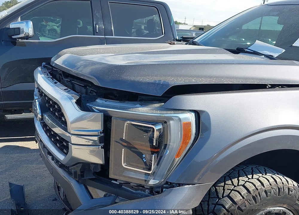 2021 FORD F-150 PLATINUM VIN: 1FTFW1ED2MFC87466