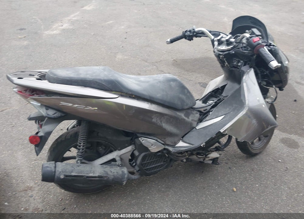 2019 HONDA WW150 VIN: RLHKF300XKY000147
