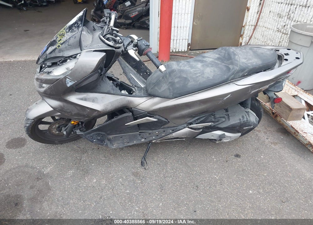 2019 HONDA WW150 VIN: RLHKF300XKY000147