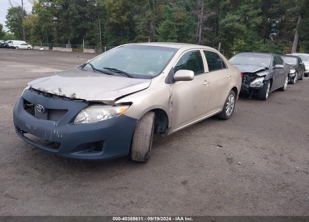 2009 TOYOTA COROLLA LE VIN: 2T1BU40E59C012244