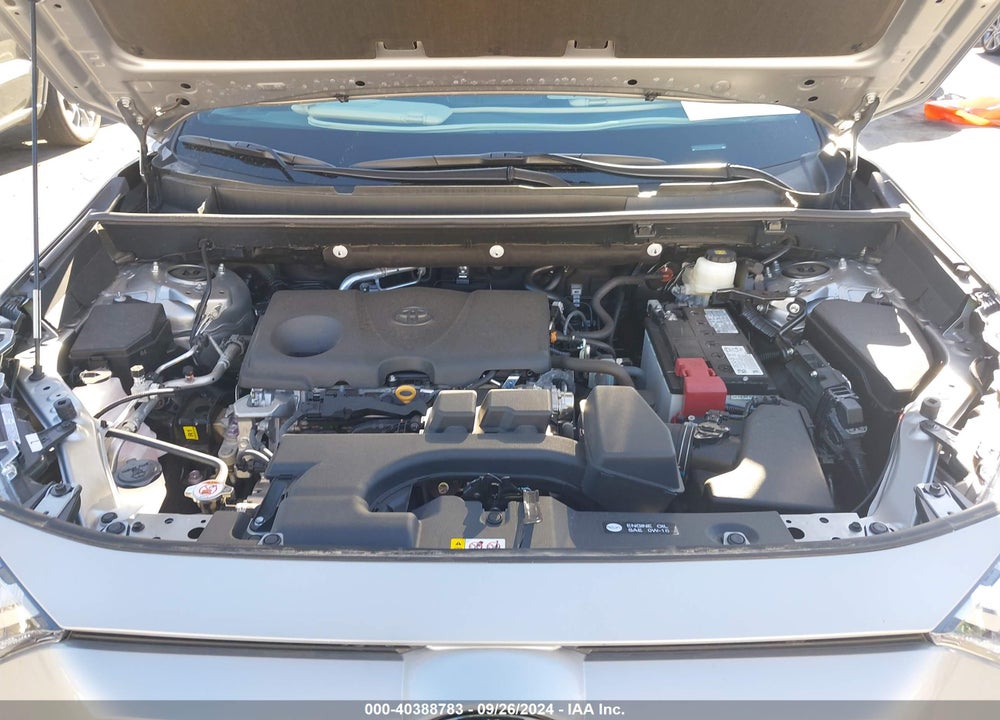 2024 TOYOTA RAV4 XLE VIN: 2T3P1RFV9RW469096