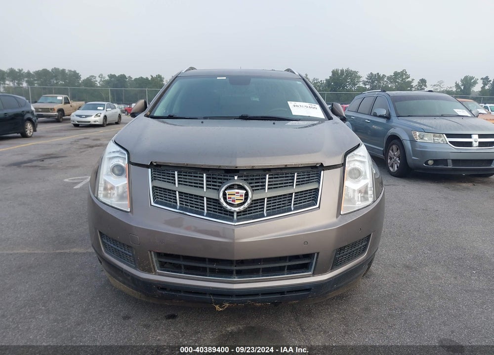 2011 CADILLAC SRX LUXURY COLLECTION VIN: 3GYFNDEY9BS510774