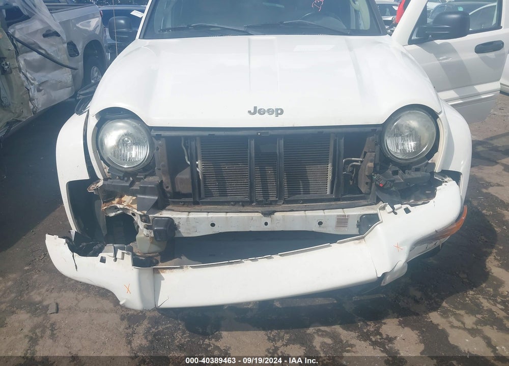 2003 JEEP LIBERTY LIMITED EDITION VIN: 1J4GK58K03W568675