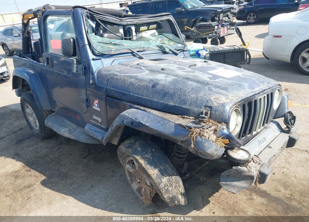 2003 JEEP WRANGLER X VIN: 1J4FA39S53P353577