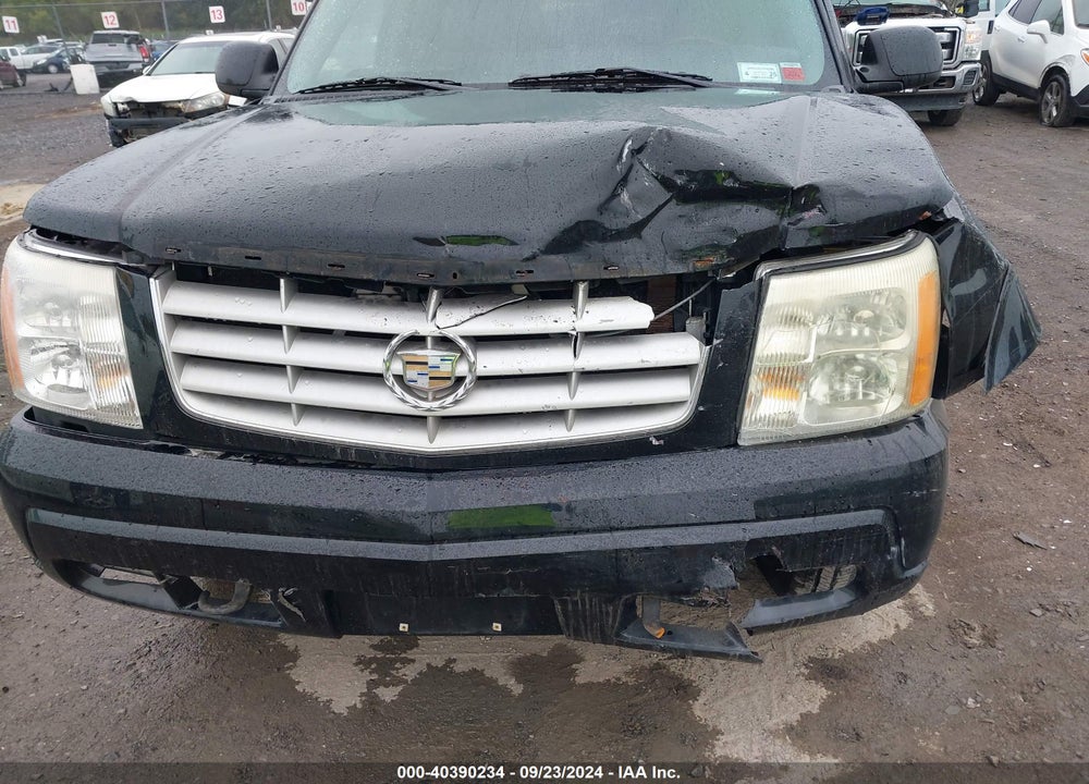 2004 CADILLAC ESCALADE STANDARD VIN: 1GYEK63N14R310244