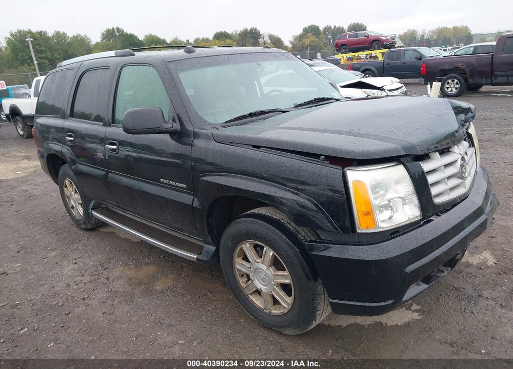 2004 CADILLAC ESCALADE STANDARD VIN: 1GYEK63N14R310244