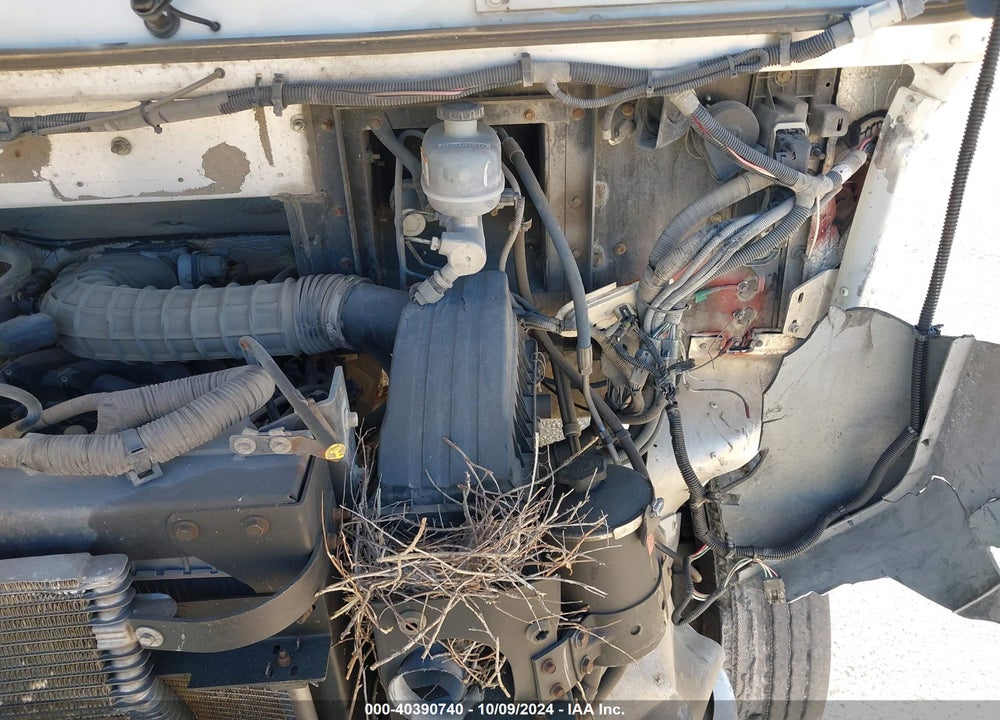 2019 FORD F-59 COMMERCIAL STRIPPED VIN: 1F65F5KY6K0A07528