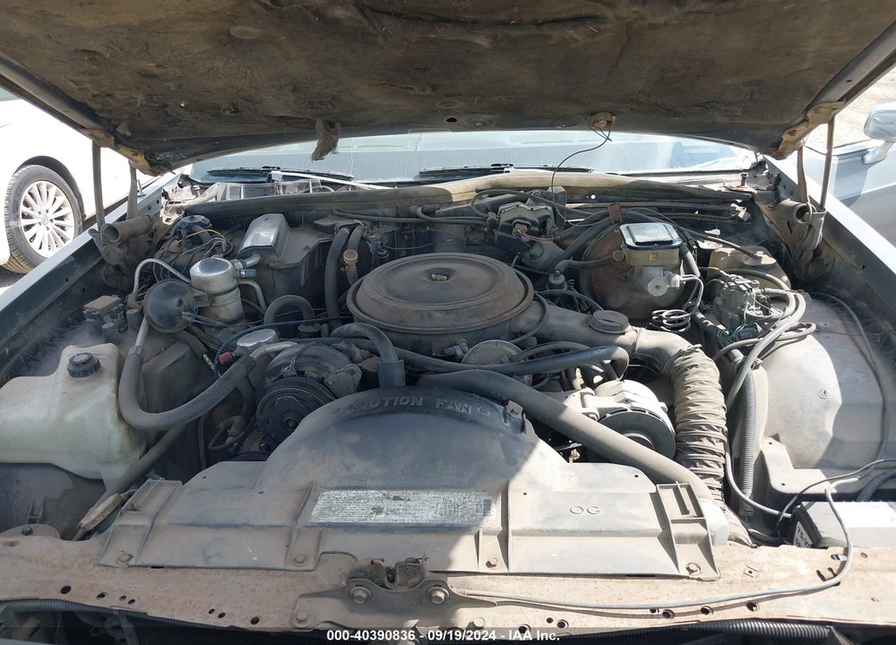 1983 OLDSMOBILE DELTA 88 ROYALE BROUGHAM VIN: 1G3AY69Y4DM803465