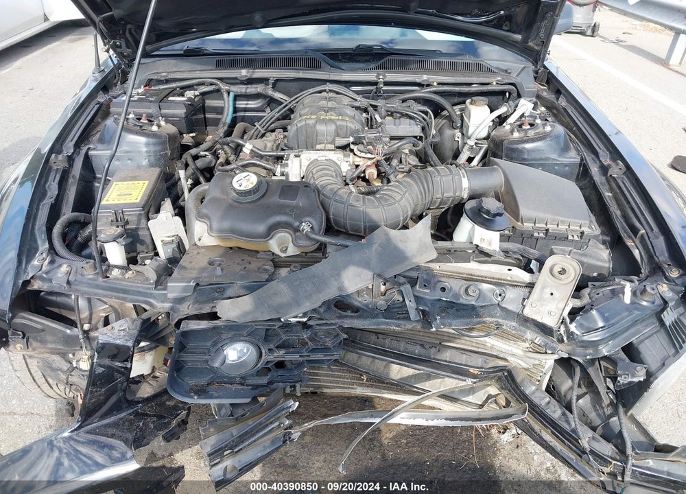 2009 FORD MUSTANG V6/V6 PREMIUM VIN: 1ZVHT80N395107481