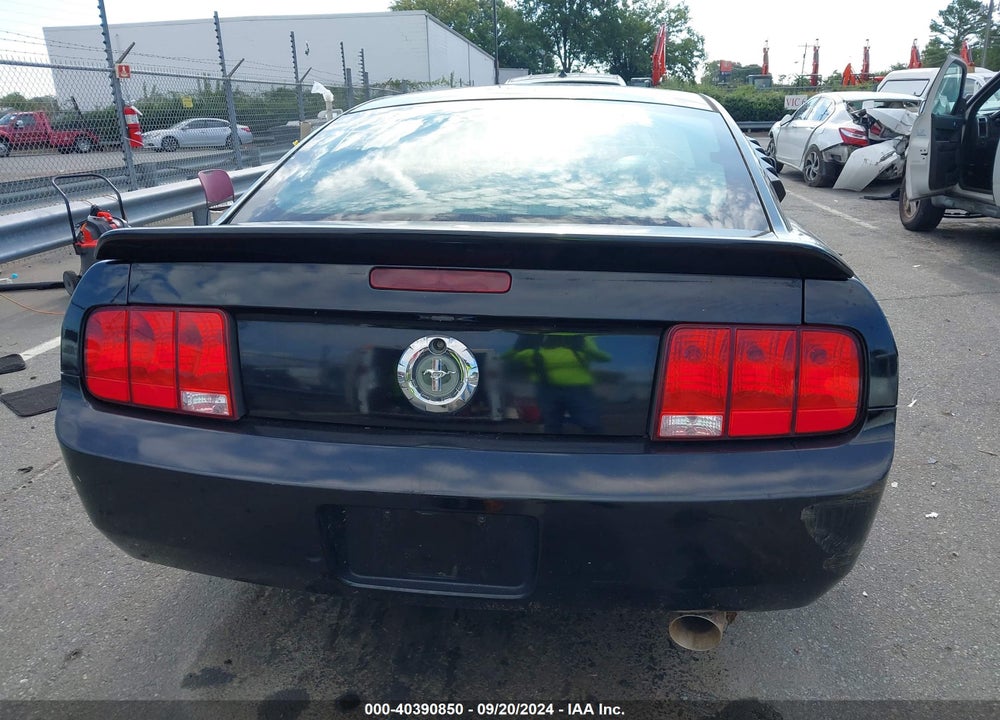 2009 FORD MUSTANG V6/V6 PREMIUM VIN: 1ZVHT80N395107481