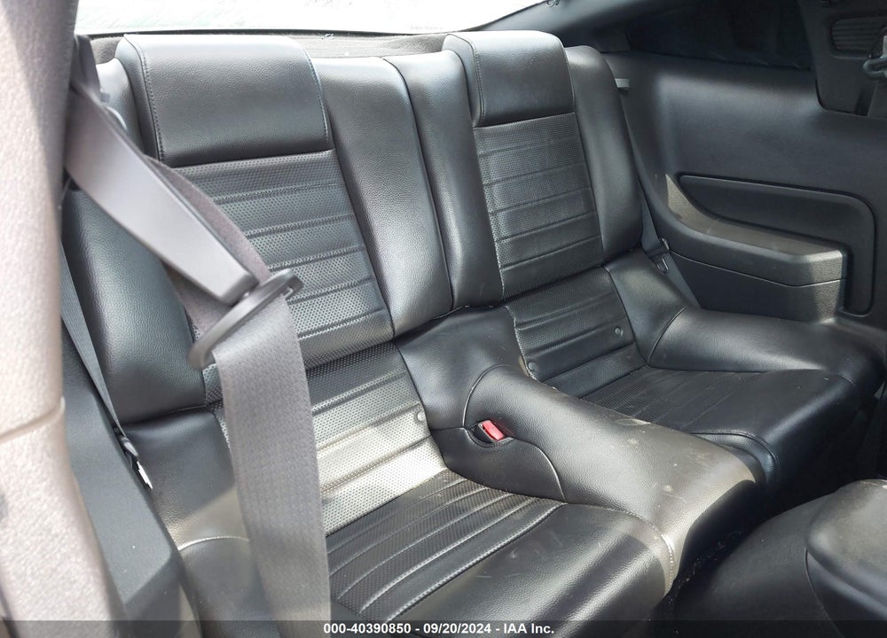 2009 FORD MUSTANG V6/V6 PREMIUM VIN: 1ZVHT80N395107481