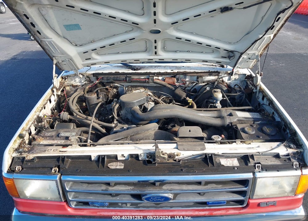 1989 FORD F150 VIN: 1FTEF15N2KPB15157