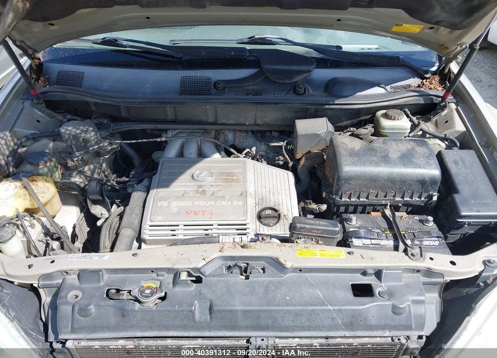 2002 LEXUS RX 300 VIN: JTJGF10U120146610