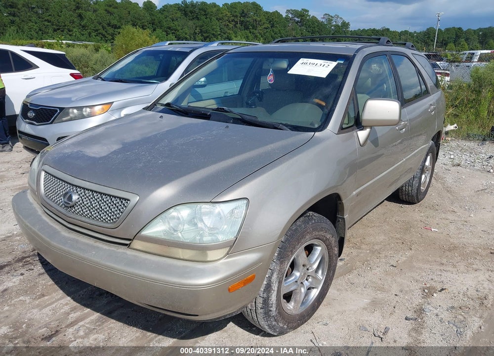 2002 LEXUS RX 300 VIN: JTJGF10U120146610