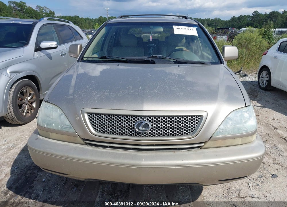 2002 LEXUS RX 300 VIN: JTJGF10U120146610