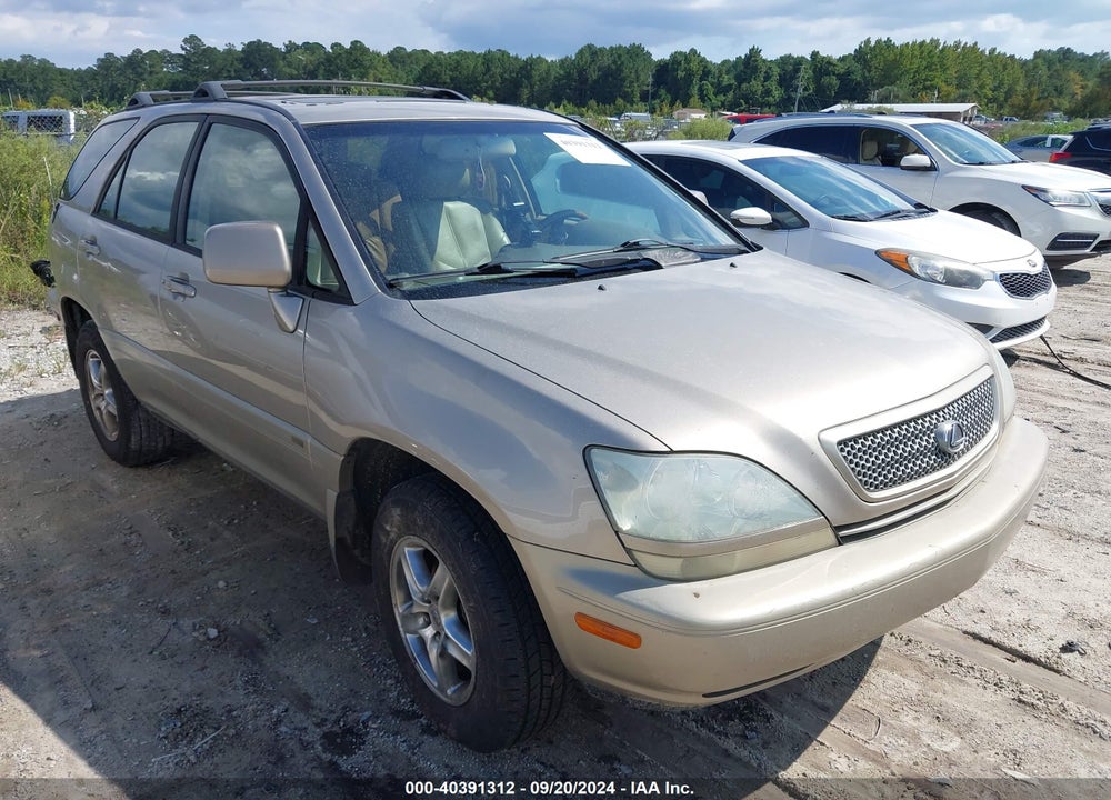 2002 LEXUS RX 300 VIN: JTJGF10U120146610