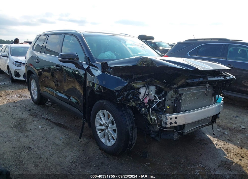 2024 TOYOTA GRAND HIGHLANDER XLE VIN: 5TDAAAA54RS004144
